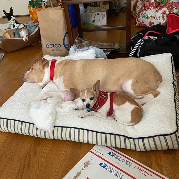 Meet your Posher, Diana - Picture 15 of 16